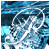:iconpalliancedesign: