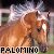 :iconpalomino-league: