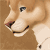 :iconpalone-omi: