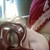 :iconpamthelacinglady: