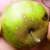 :iconpan-tofel:
