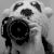 :iconpanda-eyed: