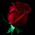:iconpanda-kathryn333: