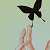 :iconpanda-tail: