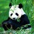 :iconpanda28781: