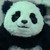 :iconpanda855: