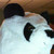 PandaAnonymous :iconpandaanonymous: