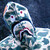 :iconpandagenomeproject: