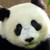 :iconpandagirl2429:
