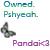 :iconpandaithepanda: