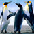 :iconpandalovers2000:
