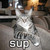 :iconpandaman1555: