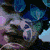 :iconpandapax: