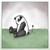 :iconpandar3d: