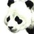 :iconpandarainbow: