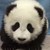 :iconpandasxturtles: