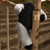 :iconpandoraaa: