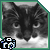 :iconpandoracat-photo: