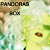 :iconpandoras-b-0-x: