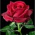 :iconpandorasbox1991: