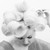 :iconpandoravalentine: