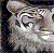 :iconpandoraz: