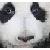 :iconpanduh-bayr: