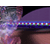 :iconpangea1uk: