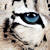 :iconpangiota: