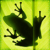 :iconpani-boa: