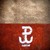 :iconpani-lodu: