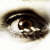 :iconpani-tracer: