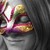 :iconpanicforpoland: