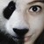 :iconpanillie: