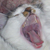 :iconpankonpaltha: