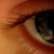 :iconpannade: