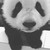 :iconpanndy-chan: