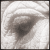 :iconpanopticon: