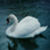 :iconpanoramic-mania: