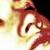 :iconpanpio:
