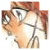 :iconpanther-storm: