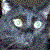:iconpanther87: