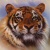 :iconpantheracz: