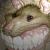 :iconpantherapardus8: