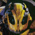 :iconpantherflame: