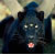 :iconpanthersagehawk: