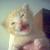 :iconpanthraxas:
