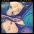 :iconpaolaaaa: