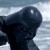 :iconpaopu-puree: