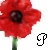 :iconpapaveri: